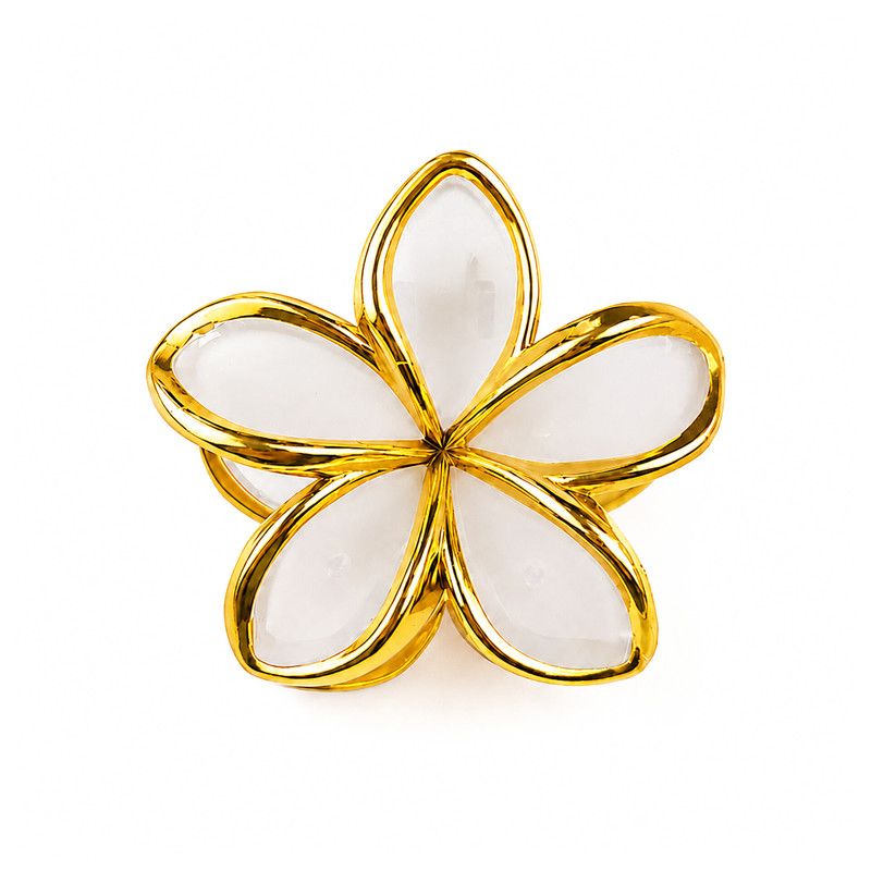 کیلیپس مو فانتزی اکسسوری مو
